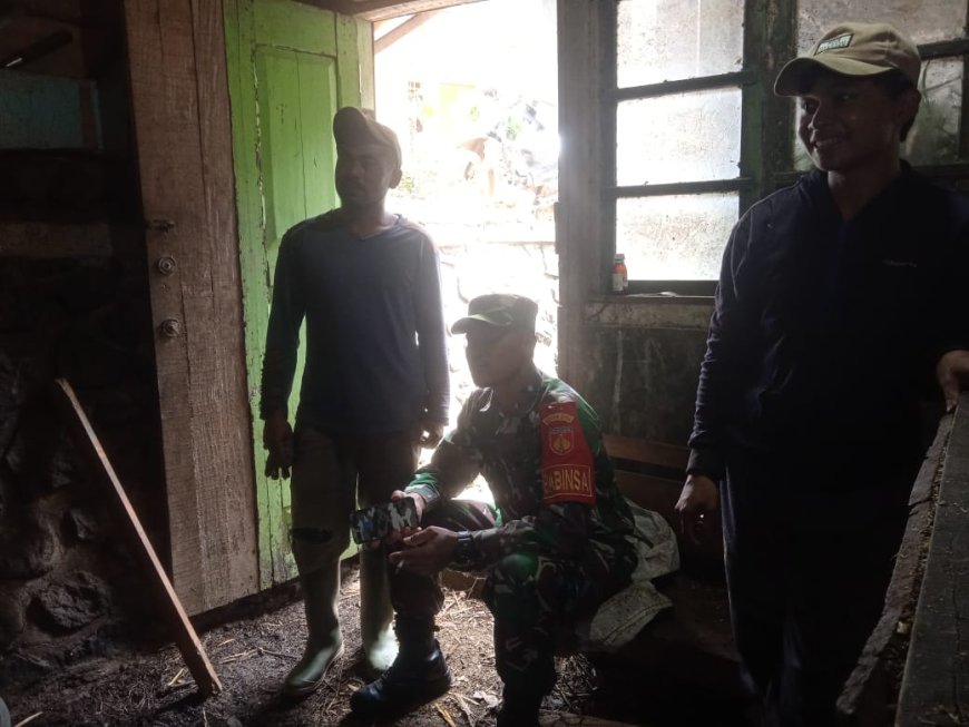 Komsos Babinsa Mendorong Semangat Warga Untuk Berternak Kambing