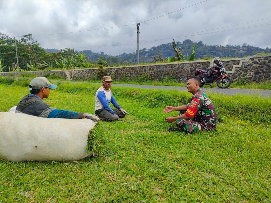 Babinsa Koramil 16/Pejawaran Gelar Komsos Dengan Peternak Sapi