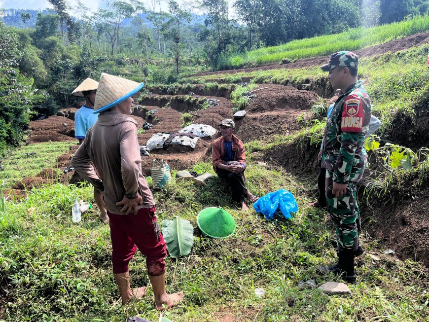 Babinsa Motivasi Petani Untuk Meningkatkan Ketahanan Pangan