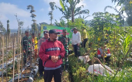 Danramil Beserta Babinsa Koramil 16/Pejawaran Dampingi Padat Karya Tunai Desa (PKTD) Pembukaan Jalan Usaha Tani (JUT)