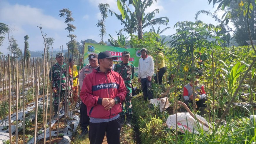 Danramil Beserta Babinsa Koramil 16/Pejawaran Dampingi Padat Karya Tunai Desa (PKTD) Pembukaan Jalan Usaha Tani (JUT)