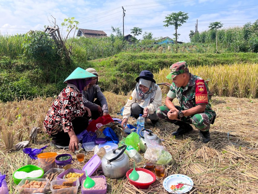 BABINSA KORAMIL 16/PEJAWARAN KOMSOS DENGAN PETANI PADI
