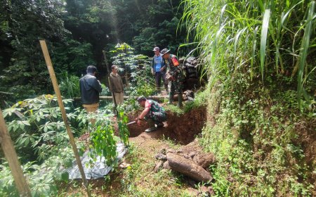 Sukseskan Program Pipanisasi Babinsa Koramil 16/Pejawaran Dampingi Poktan di Wilayah Binaaan  